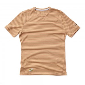 Cork/Melon Stripe Tracksmith Horizon | Canada 30276-URCS