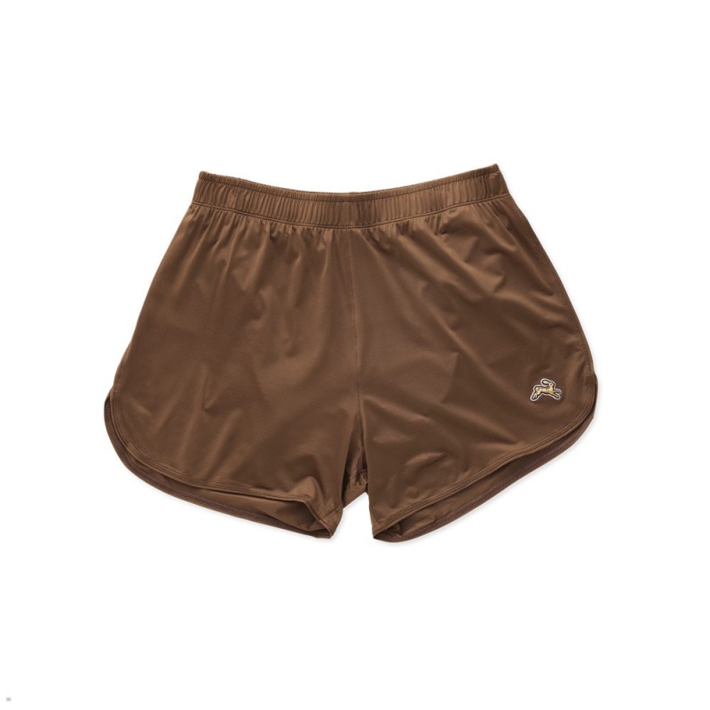 Brown Tracksmith Twilight | Canada 45823-SDTO