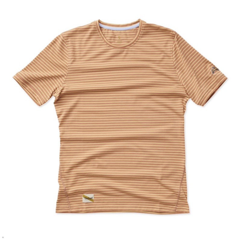 Cork/Melon Stripe Tracksmith Horizon | Canada 30276-URCS