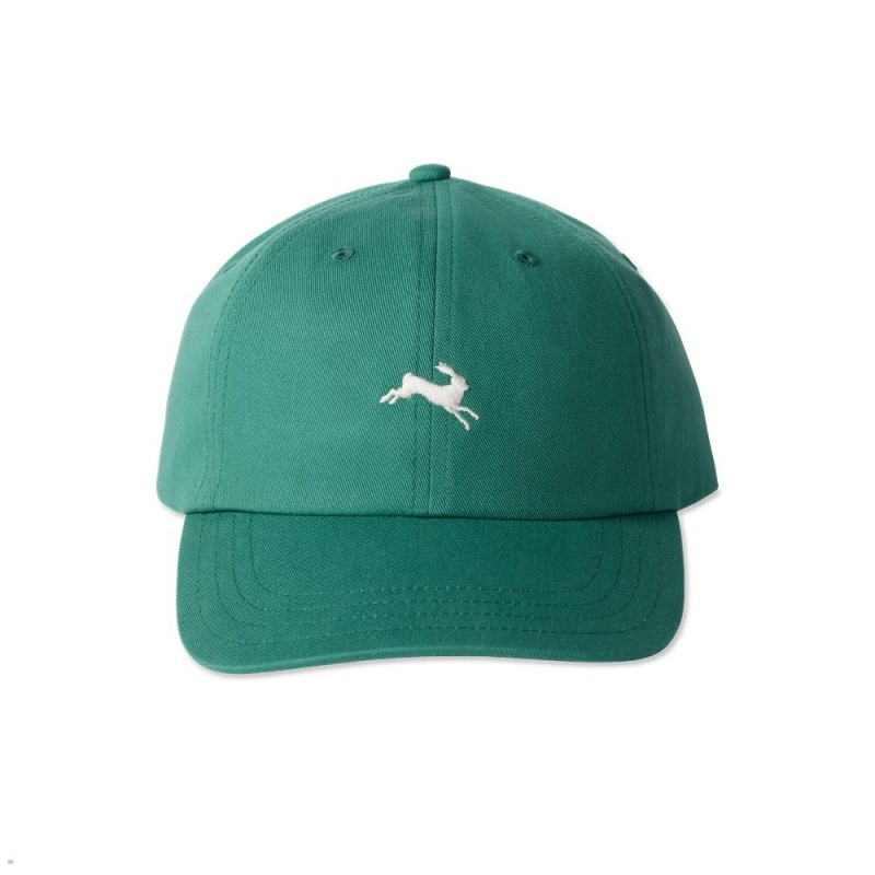 Green Tracksmith Baseball | Canada 17540-CZTD