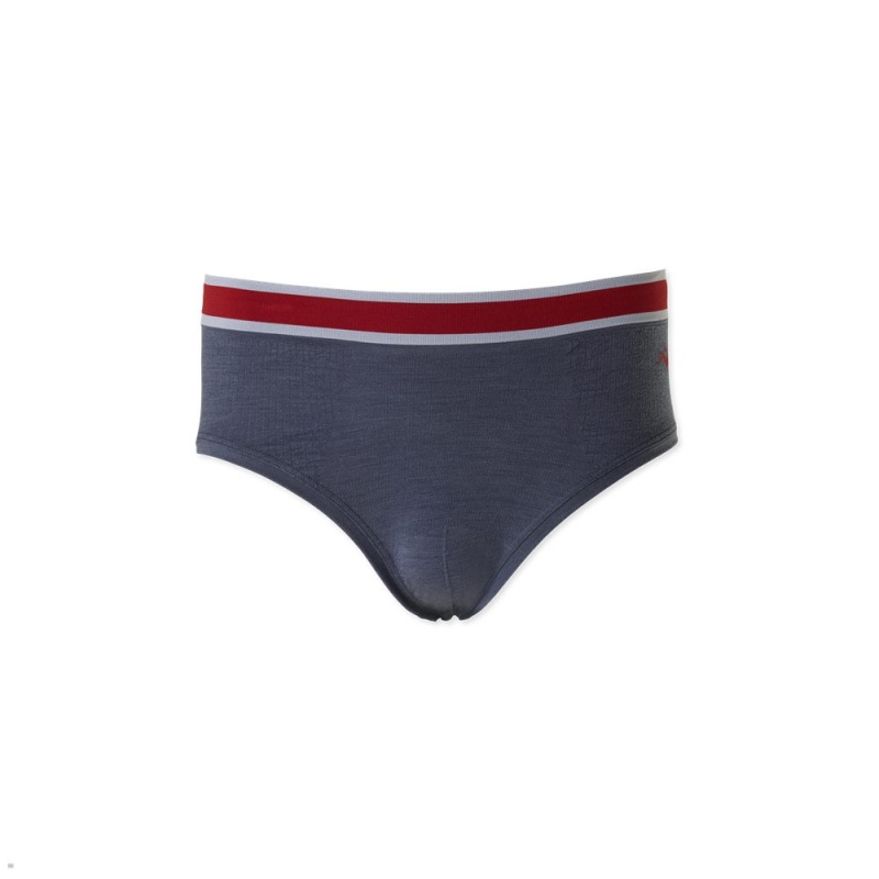 Stone Gray Tracksmith Brighton Briefs | Canada 02648-KPWD